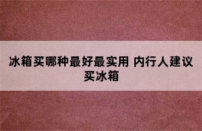 冰箱买哪种最好最实用 内行人建议买冰箱